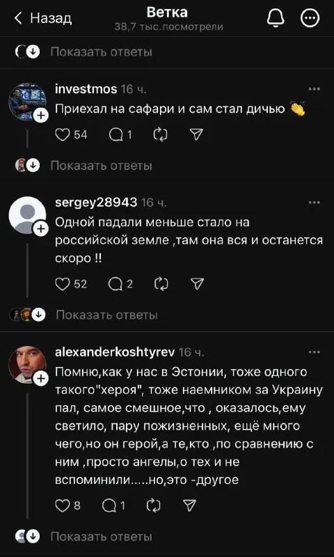 Комментарии о герое-наёмнике
