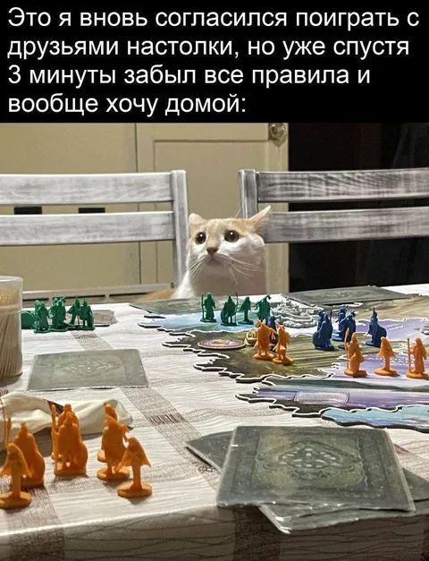 Кот забыл правила настолки
