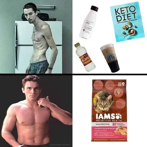 Keto Diet Versus Cat Food