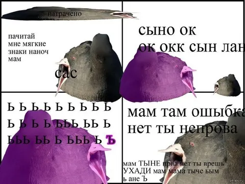 Птицы учат мягкие знаки
