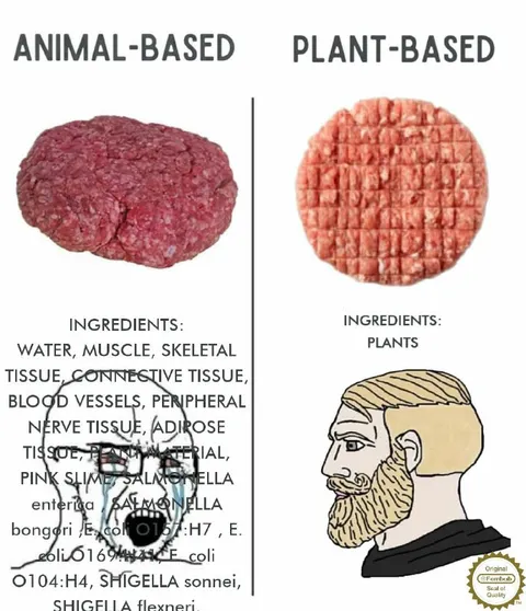 Animal-Based vs Plant-Based Ingredients