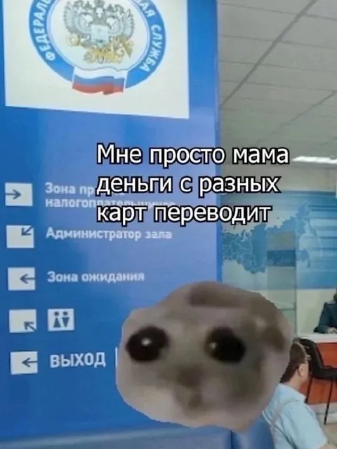 Мама переводит деньги с разных карт