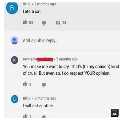 I Ate a Cat