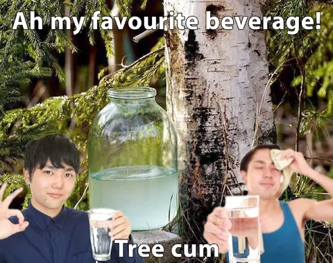 Tree Cum Beverage Meme