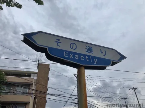 その通り Exactly