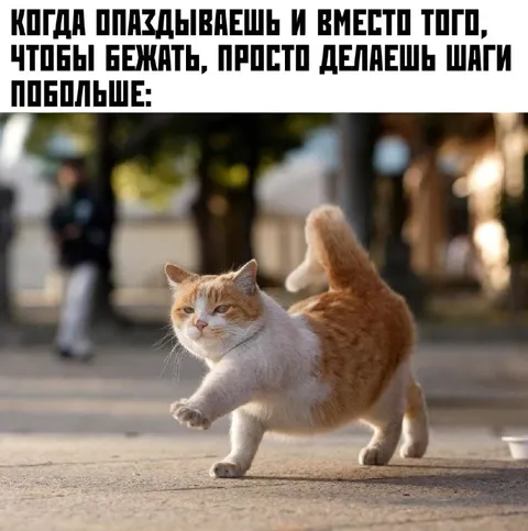 Когда опаздываешь и делаешь шаги побольше