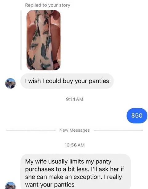 I Wish I Could Buy Your Panties