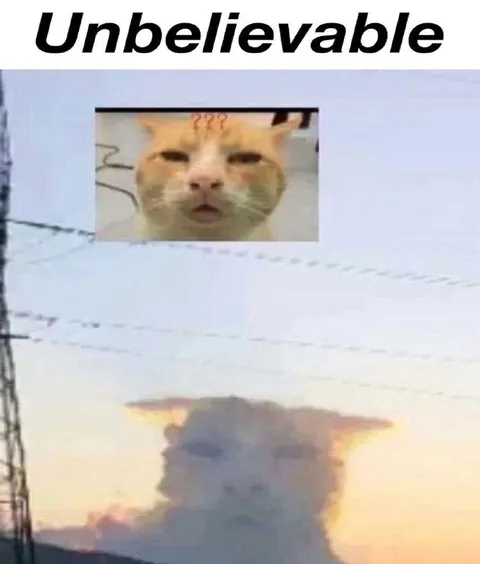 Unbelievable Confused Cat Explosion
