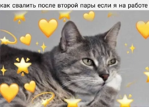 Как свалить с работы после второй пары