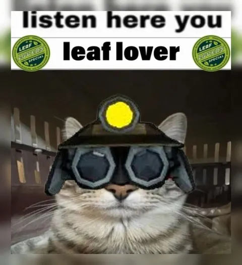Listen Here You Leaf Lover