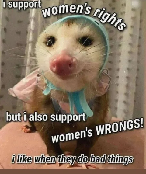 I Support Women's Wrongs