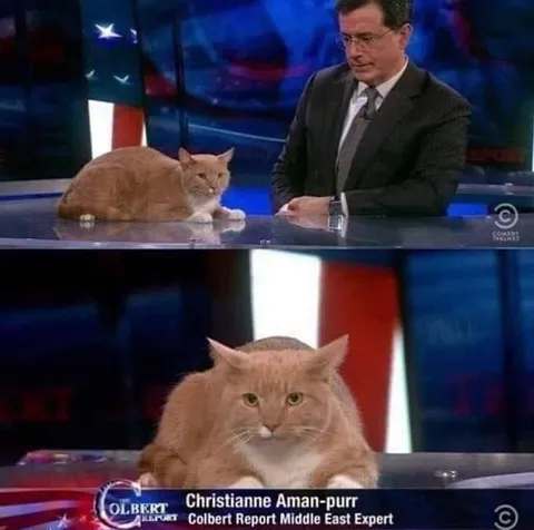 Christianne Aman-purr on The Colbert Report