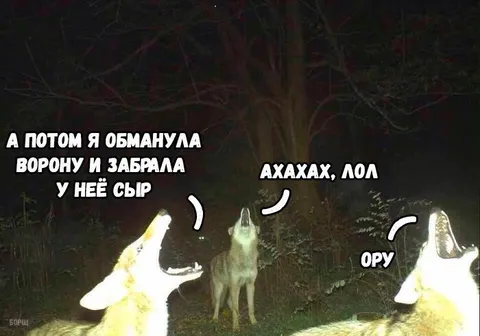 Лиса обманула ворону