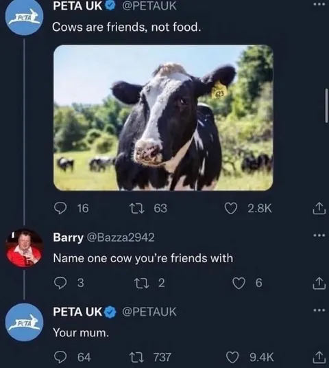 Name One Cow You’re Friends With