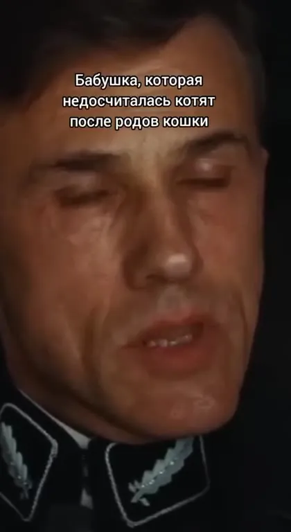 Бабушка не досчиталась котят