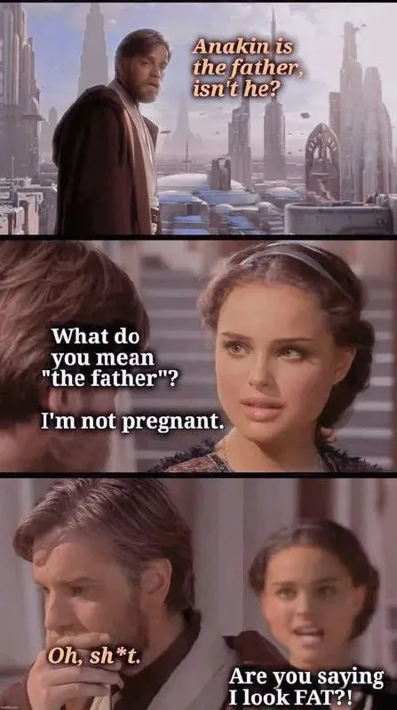 Are You Saying I Look Fat?