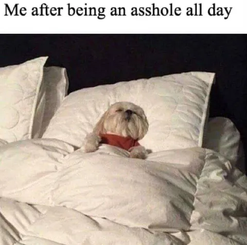 Me After Being an Asshole All Day