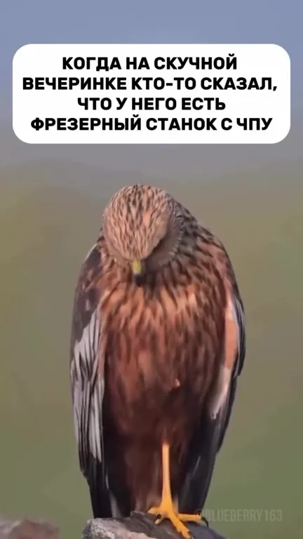 Станок с ЧПУ на вечеринке