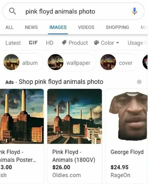 Pink Floyd Animals Search Fail