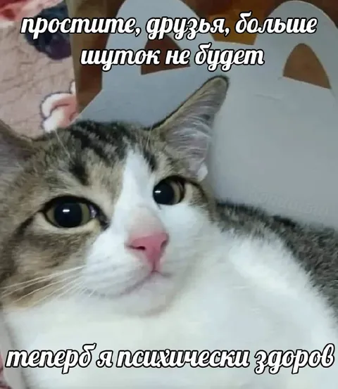 Психически здоровый кот