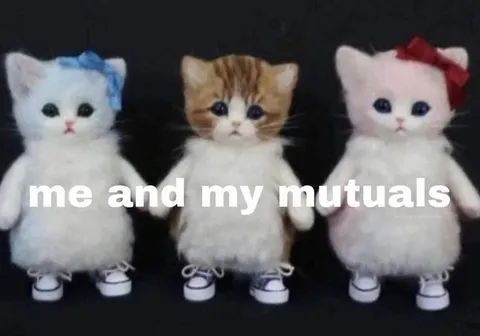 Me and My Mutuals
