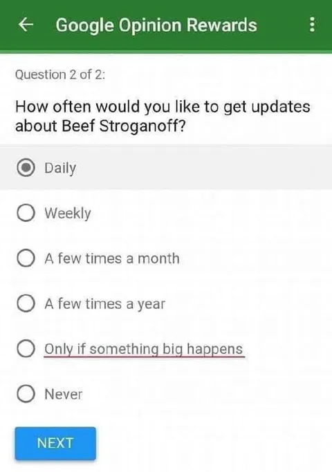 Beef Stroganoff Update Frequency