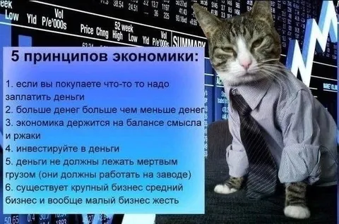 Пять принципов экономики от кота