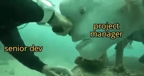 Project Manager Takes the Credit