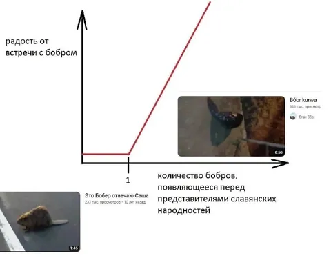 Радость от встречи с бобром