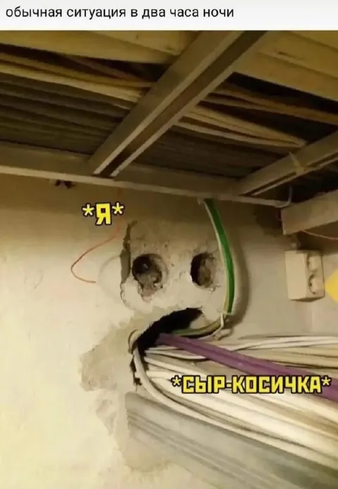 Сыр-косичка в два часа ночи