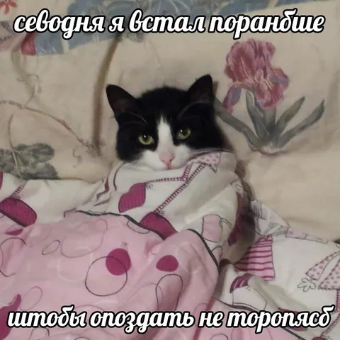 Встал пораньше, чтобы опоздать