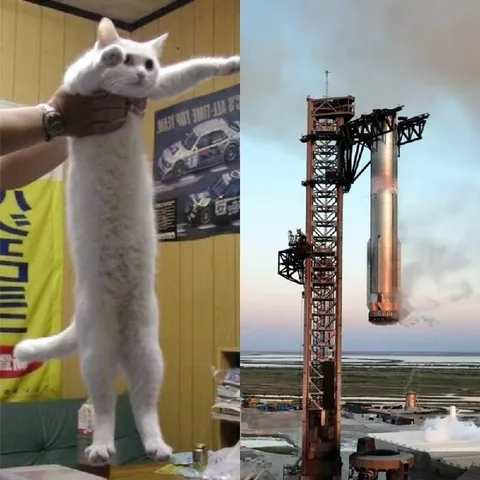 Кот и космическая ракета