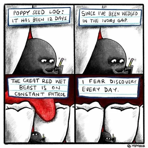 Poppy Seed in the Tooth Gap