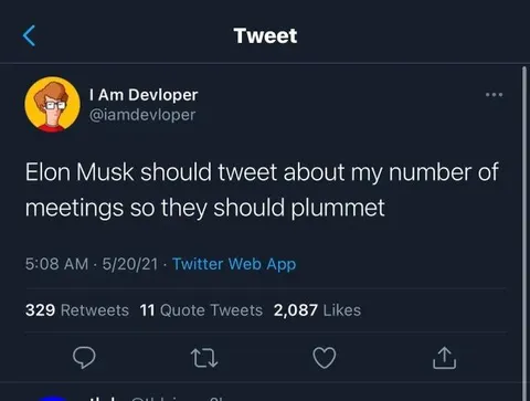 Elon Musk Meeting Plummet Tweet