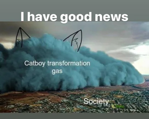 Catboy Transformation Gas