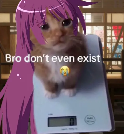 Bro Doesn't Even Exist Cat