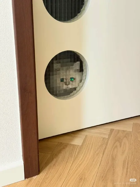 Кот выглядывает из двери