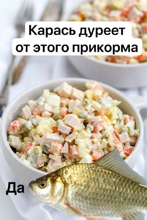 Карась дурееет от прикорма
