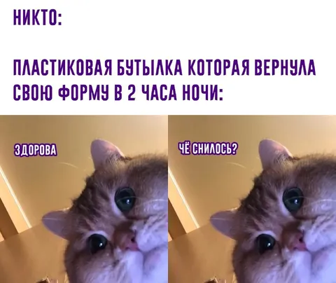 Бутылка вернула форму ночью