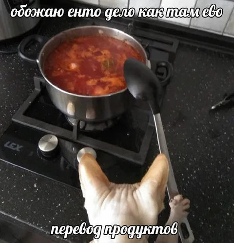 Кот переводит продукты