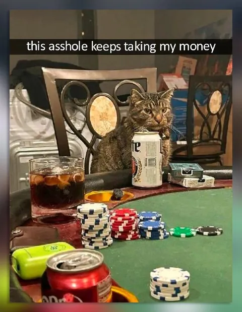 Cat Keeps Taking My Money
