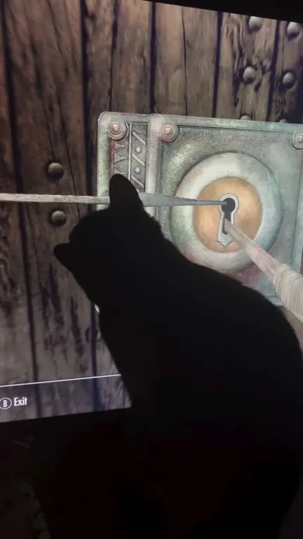 Кот взламывает замок в Skyrim