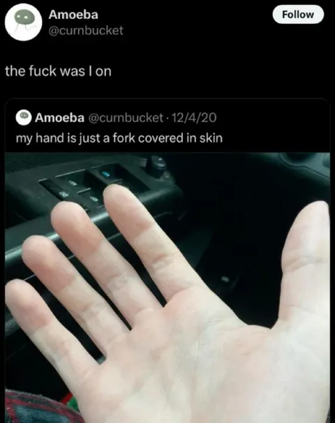Hand Is a Fork Covered in Skin