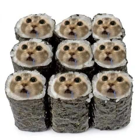 Кошачьи суши