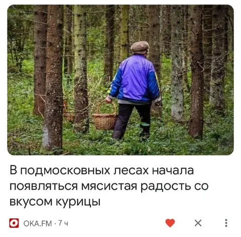Мясистая радость в лесу