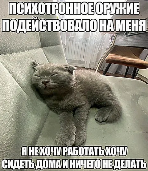 Психотронное оружие подействовало на меня