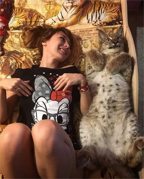 Девушка и огромный кот