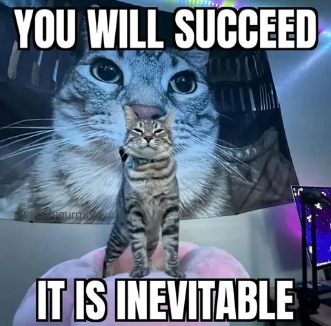 You Will Succeed Cat