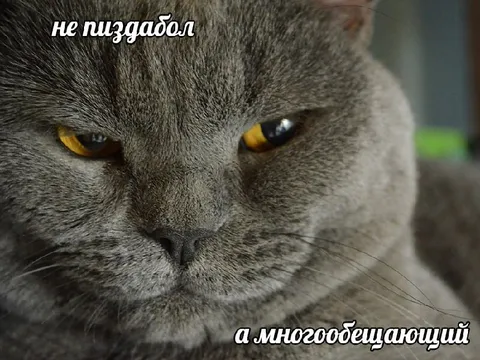 Не пиздабол, а многообещающий
