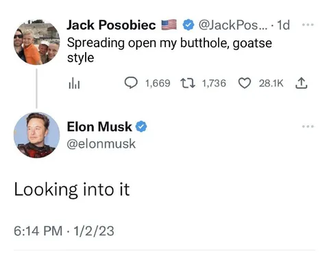 Looking Into It